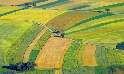 Quel prix pour les terres agricoles en 2020 ?