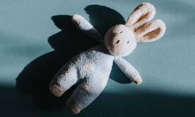 Une réforme pour le régime de l’adoption