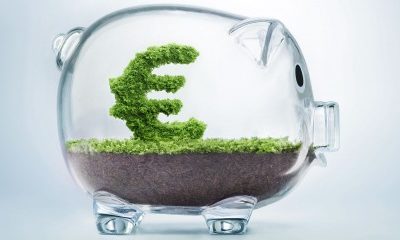 Vers la création d’un livret vert ?