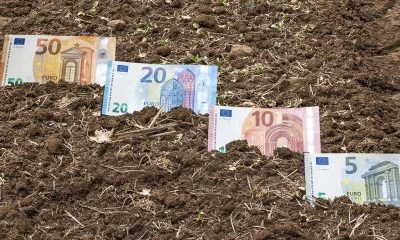 Les prix des terres agricoles en hausse en 2022