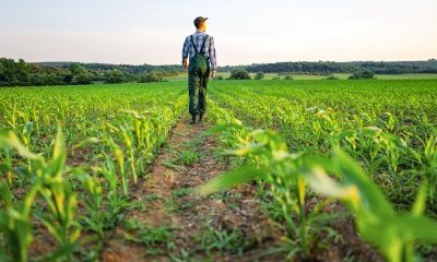 Quand une mise en demeure de payer le fermage n’est pas retirée