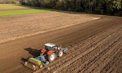 Les prix des terres agricoles ont légèrement augmenté en 2023